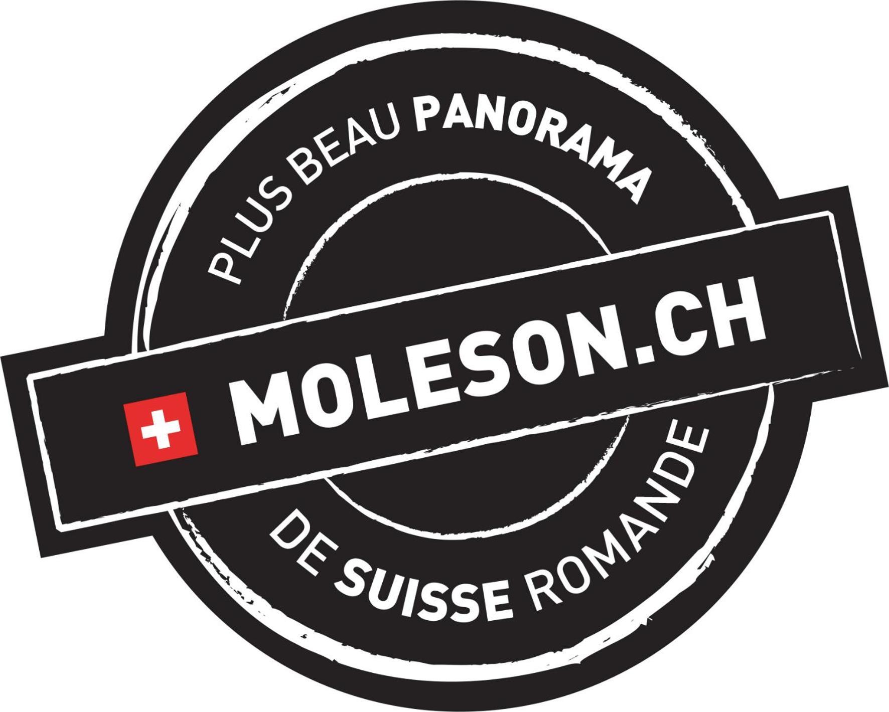 La Pierre A Catillon Moleson エクステリア 写真